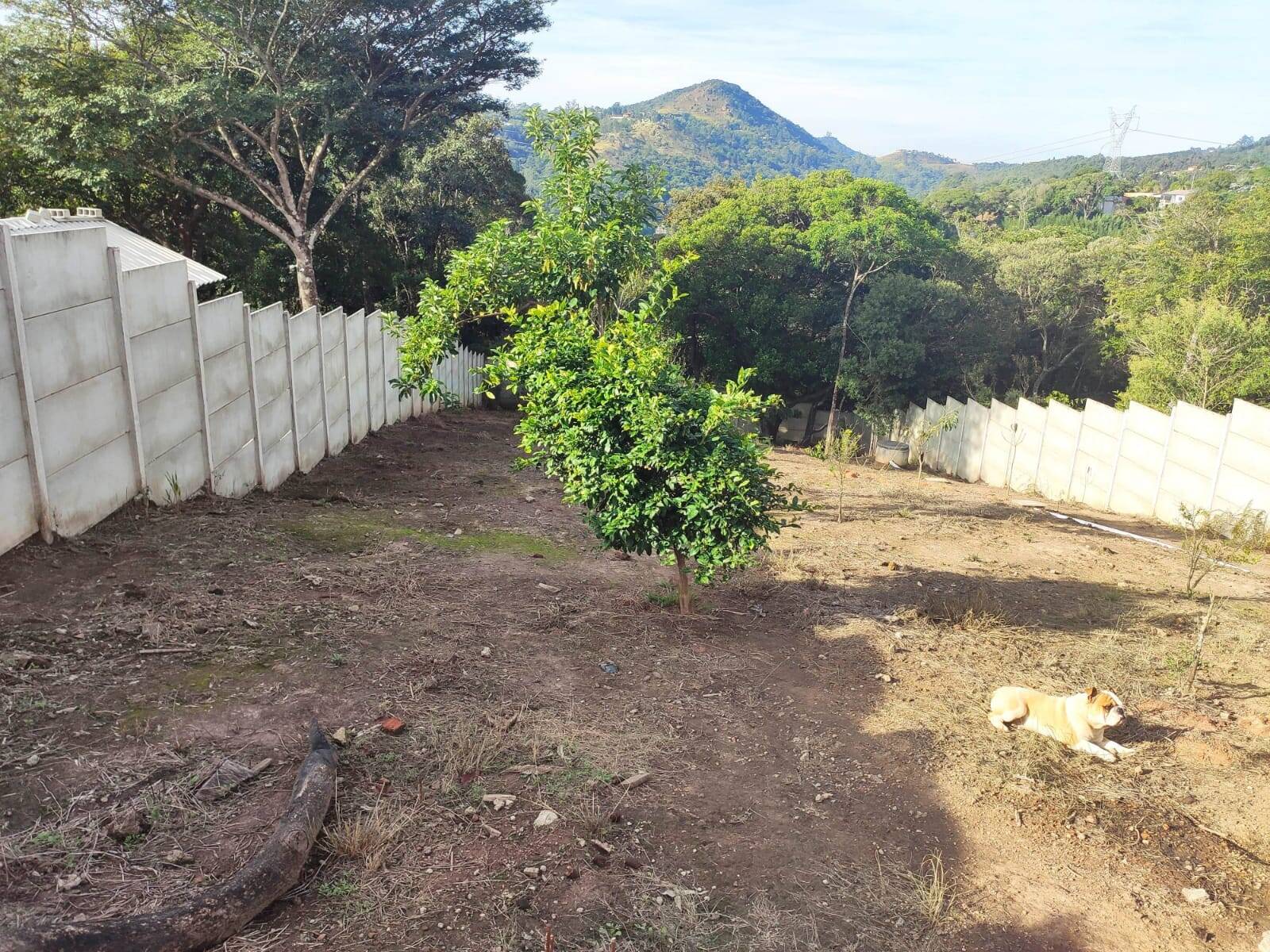 Chácara à venda com 4 quartos, 1200m² - Foto 50