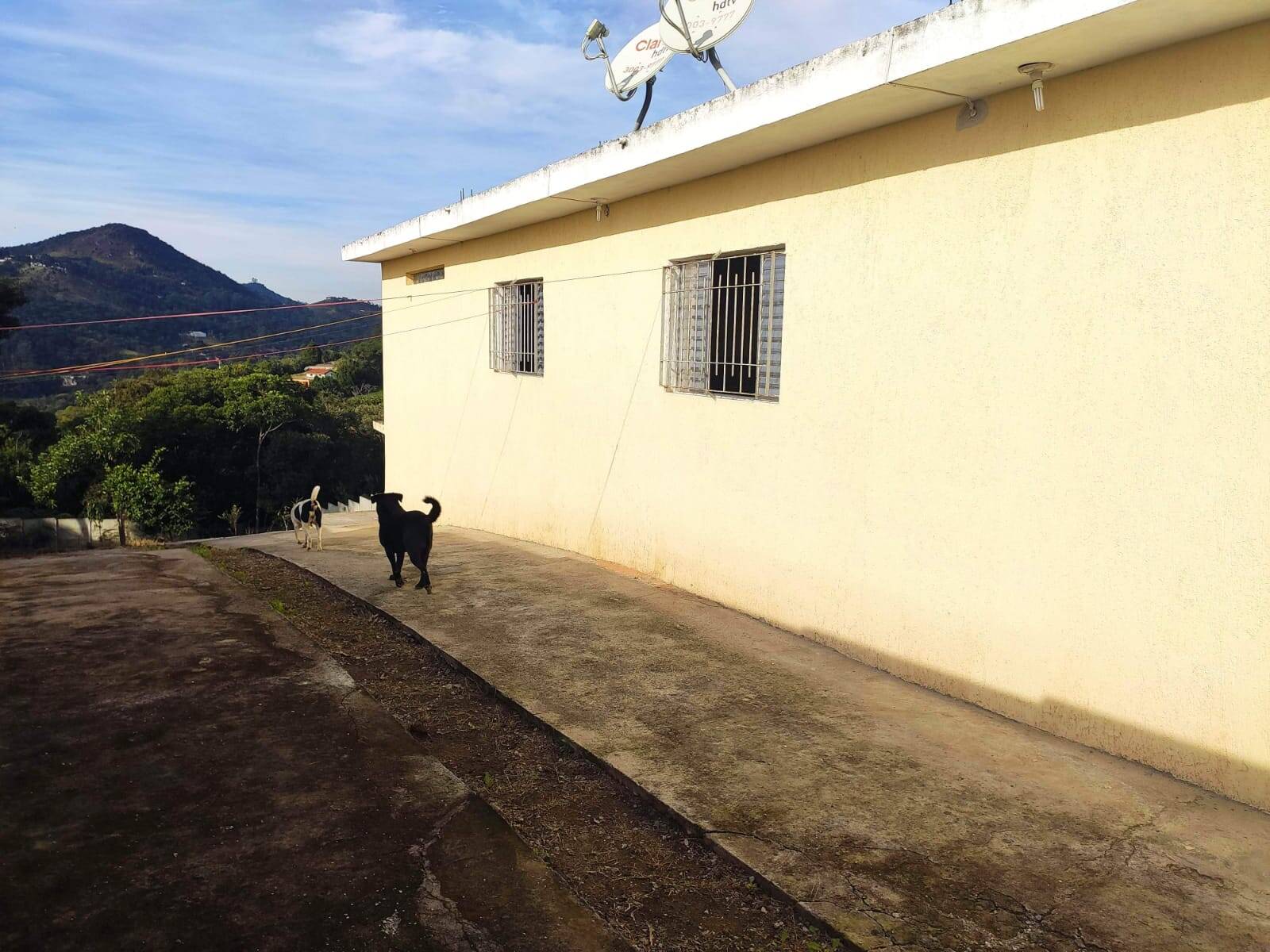 Chácara à venda com 4 quartos, 1200m² - Foto 55