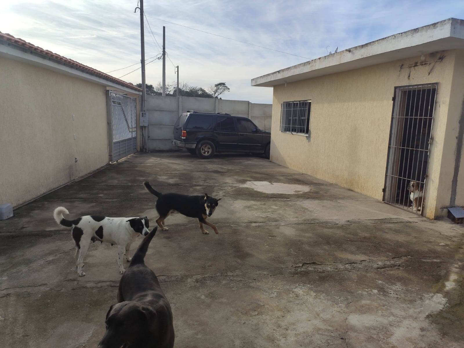 Chácara à venda com 4 quartos, 1200m² - Foto 59