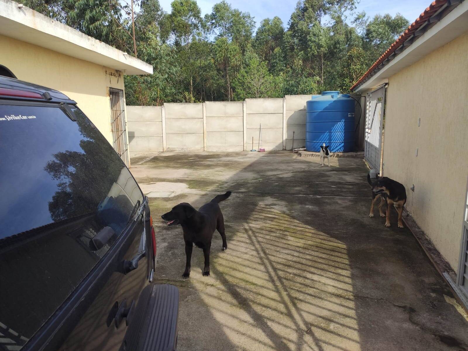 Chácara à venda com 4 quartos, 1200m² - Foto 58