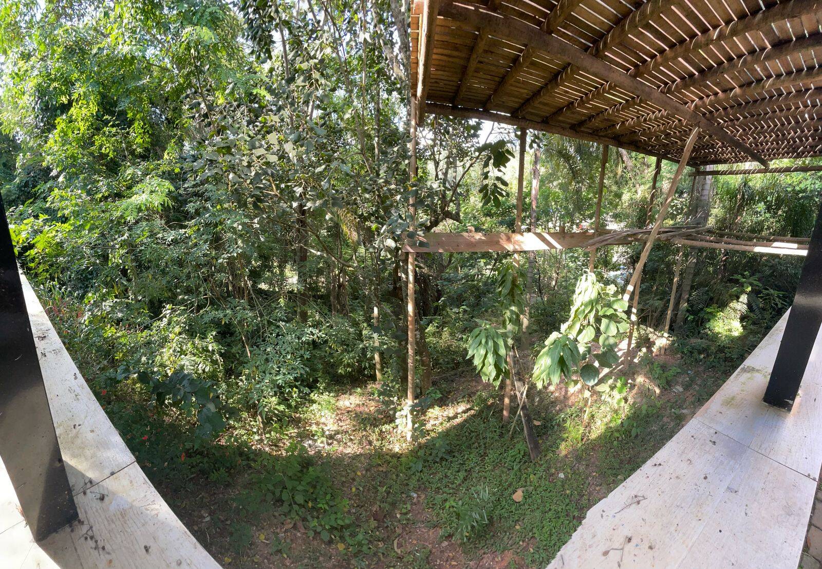 Casa à venda com 6 quartos, 580m² - Foto 52