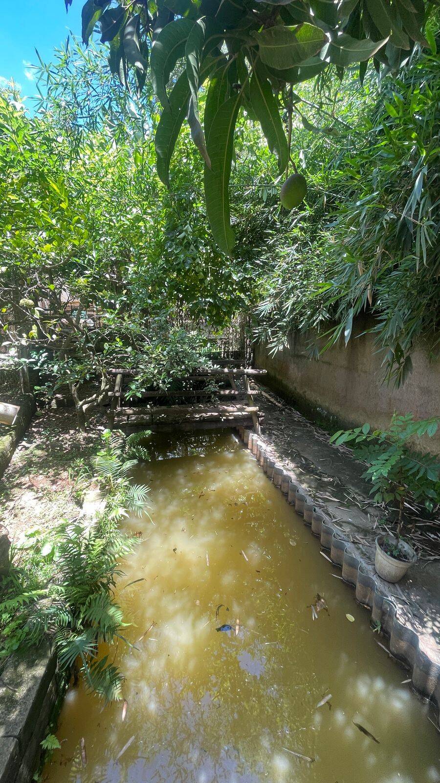 Casa, 2 quartos, 500 m² - Foto 5