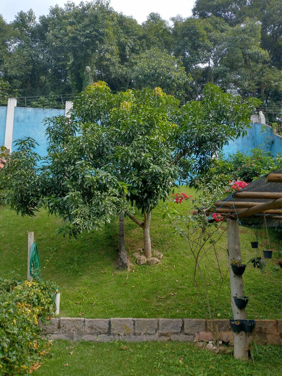 Chácara à venda com 3 quartos, 2700m² - Foto 40