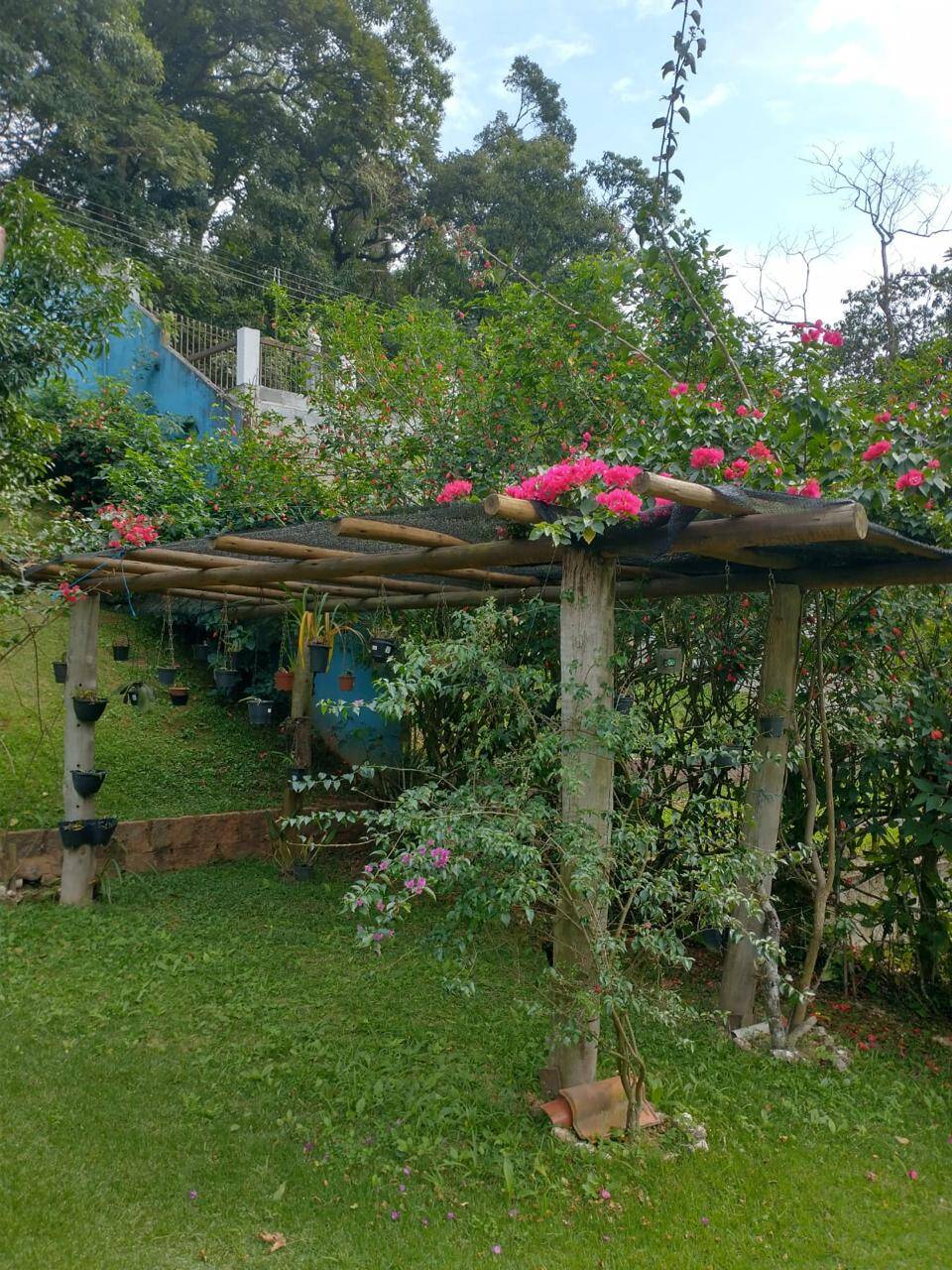 Chácara à venda com 3 quartos, 2700m² - Foto 42