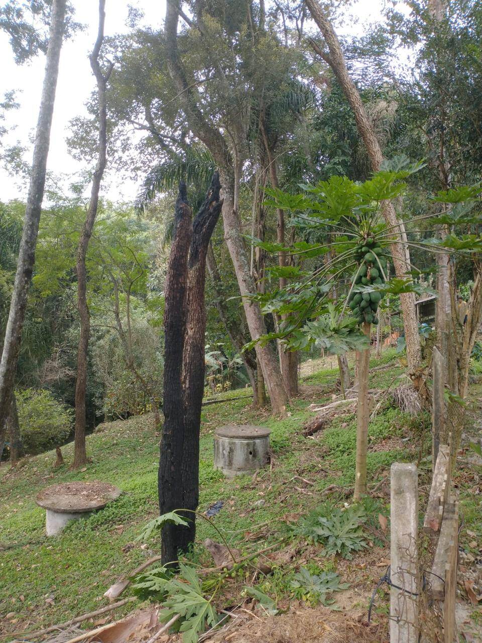Chácara à venda com 3 quartos, 2700m² - Foto 49