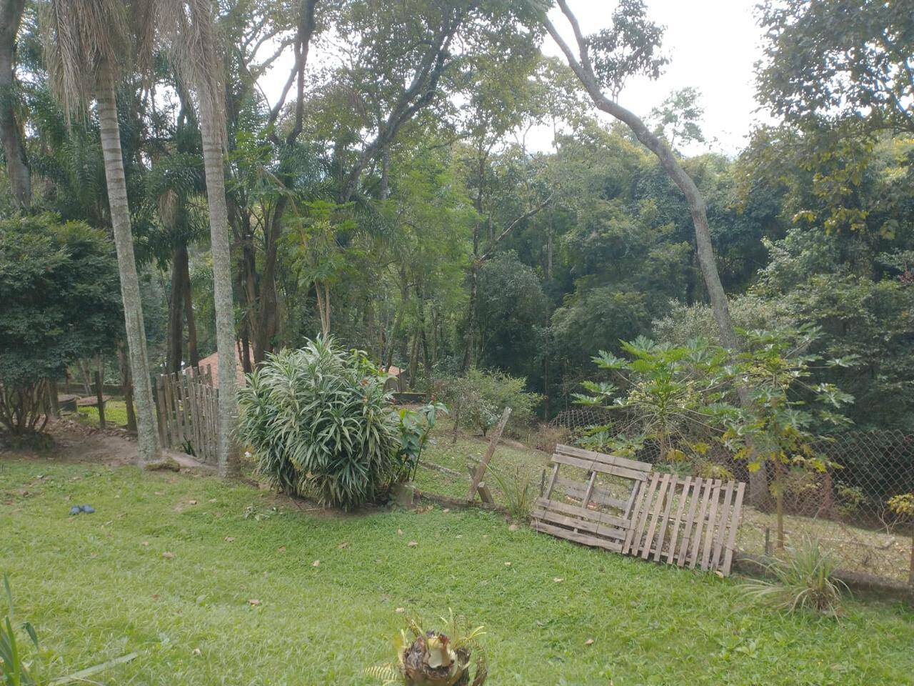 Chácara à venda com 3 quartos, 2700m² - Foto 74