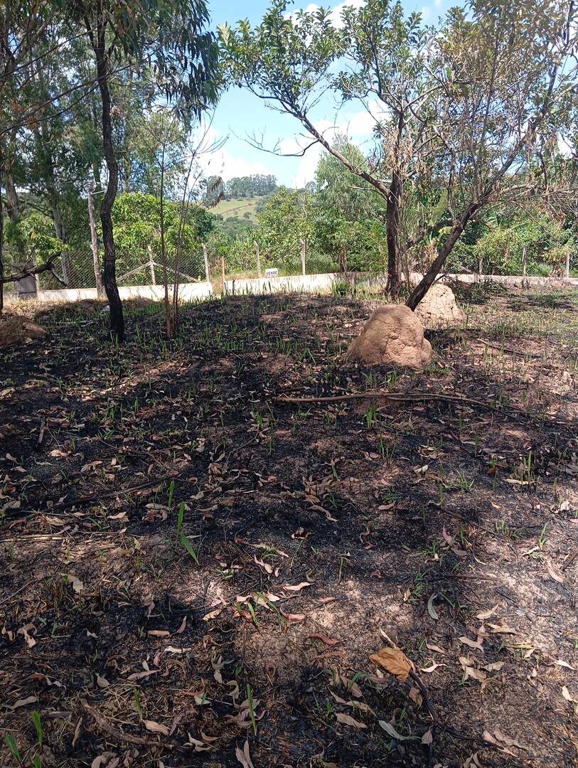 Terreno, 600 m² - Foto 1