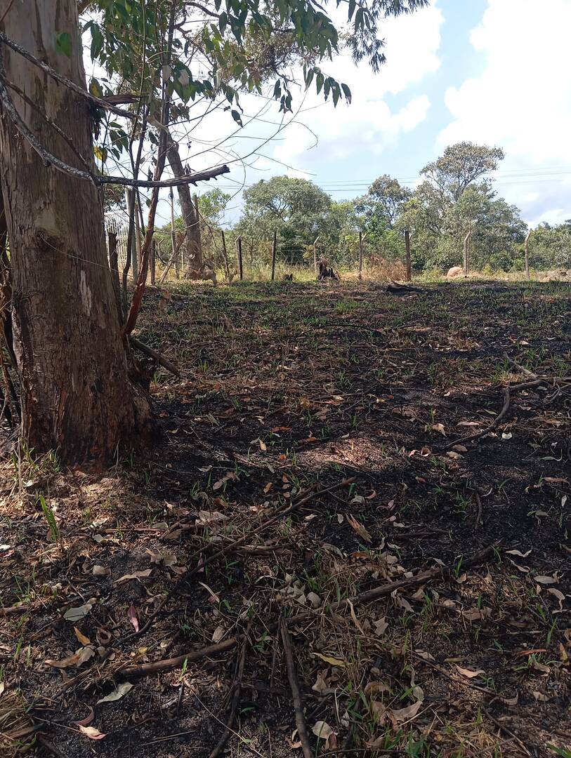 Terreno, 600 m² - Foto 2