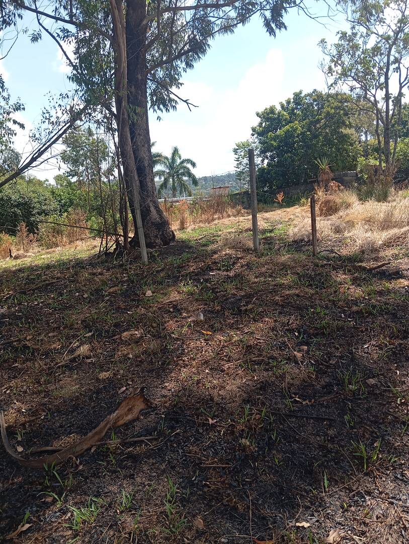 Terreno, 600 m² - Foto 3