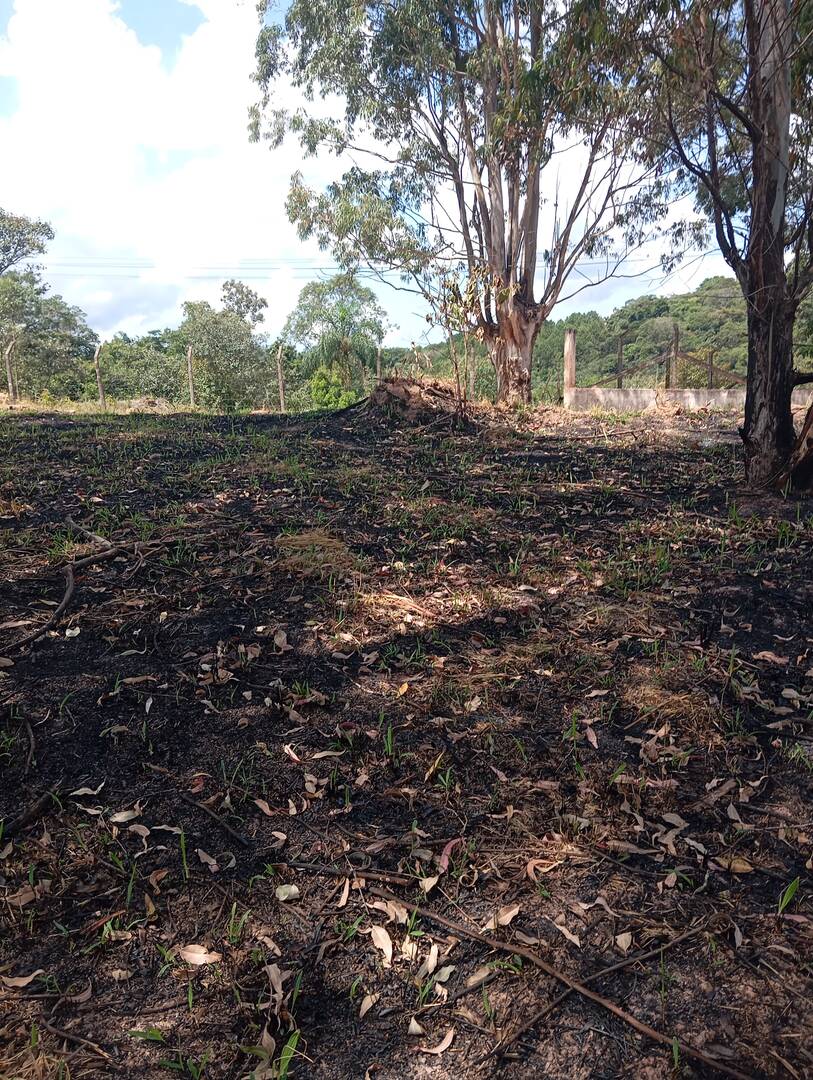 Terreno, 600 m² - Foto 4