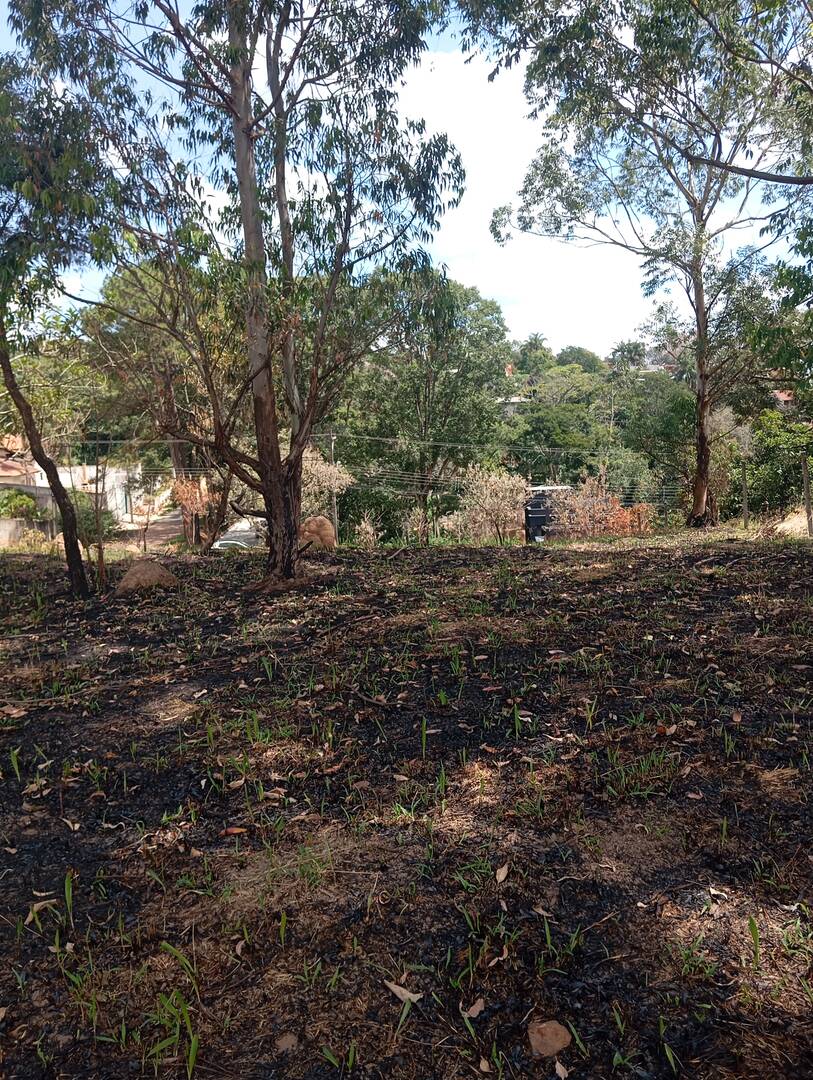 Terreno, 600 m² - Foto 6