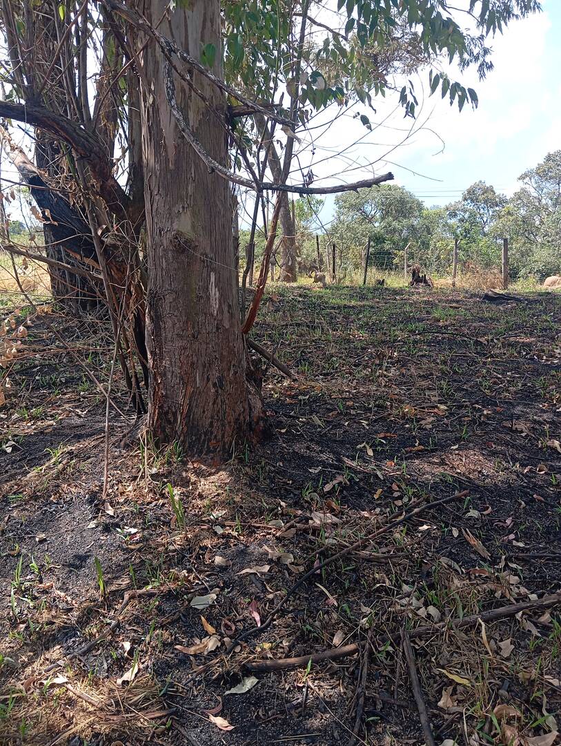 Terreno, 600 m² - Foto 7