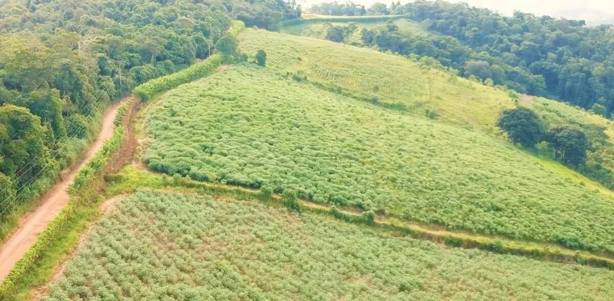 Terreno, 2 hectares - Foto 5