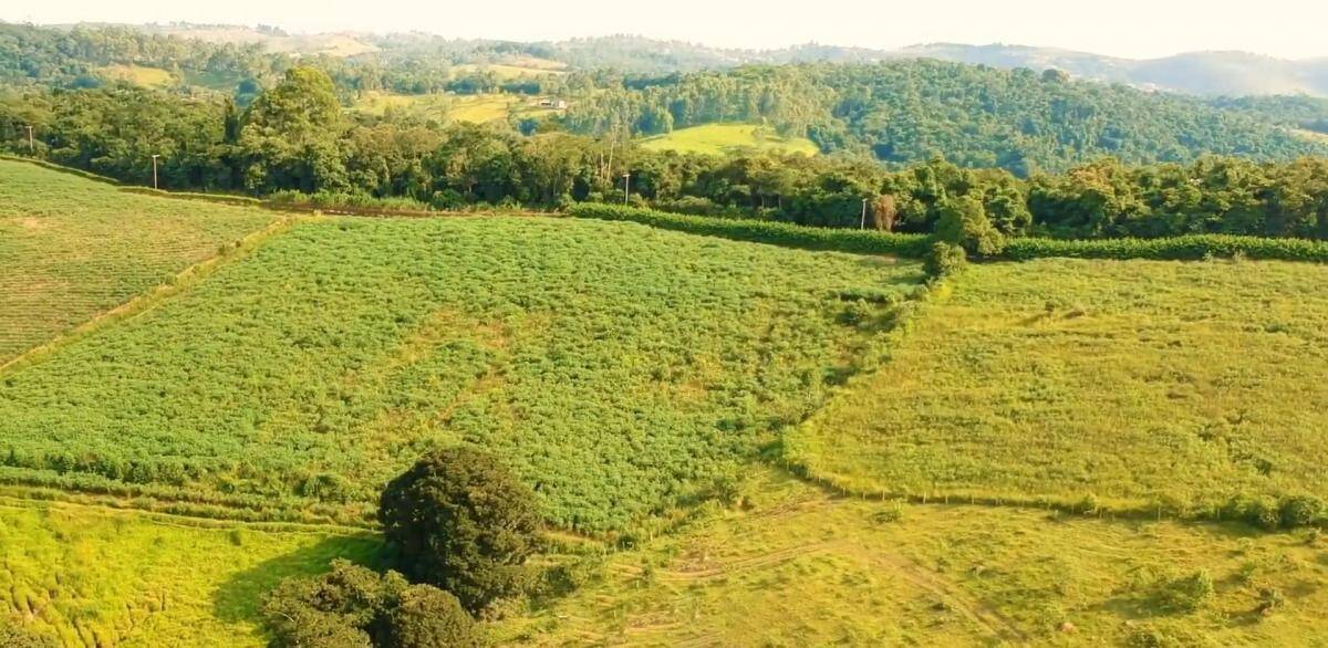 Terreno, 2 hectares - Foto 7