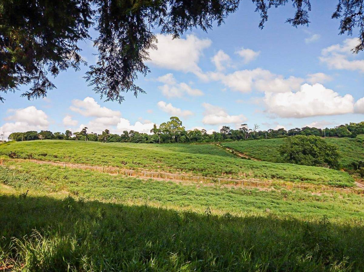 Terreno, 2 hectares - Foto 6