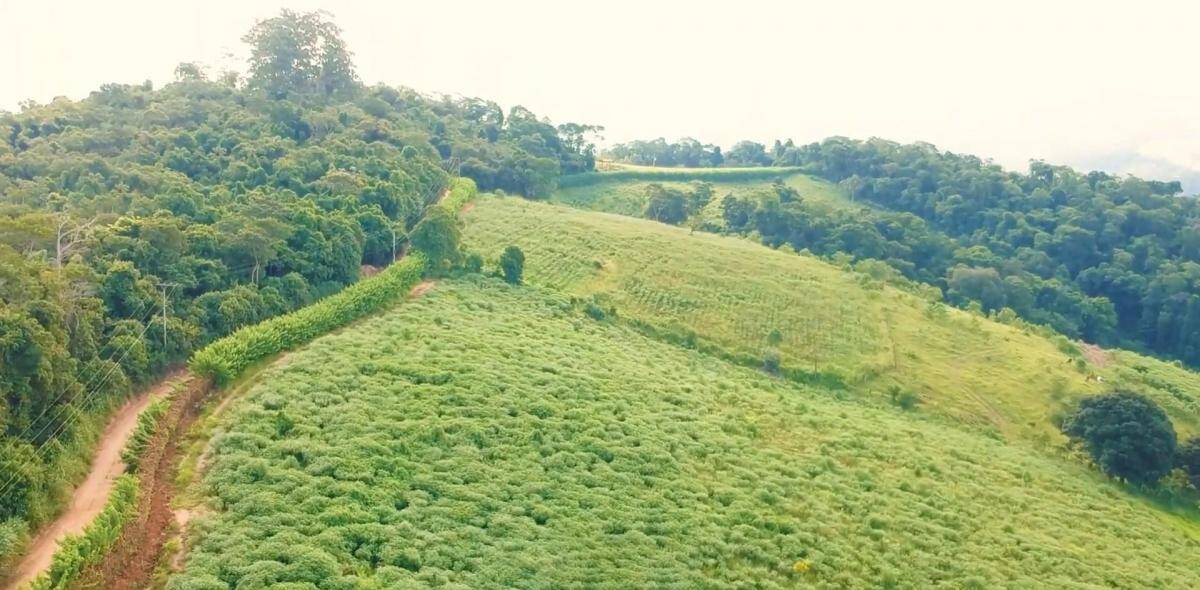 Terreno, 2 hectares - Foto 9