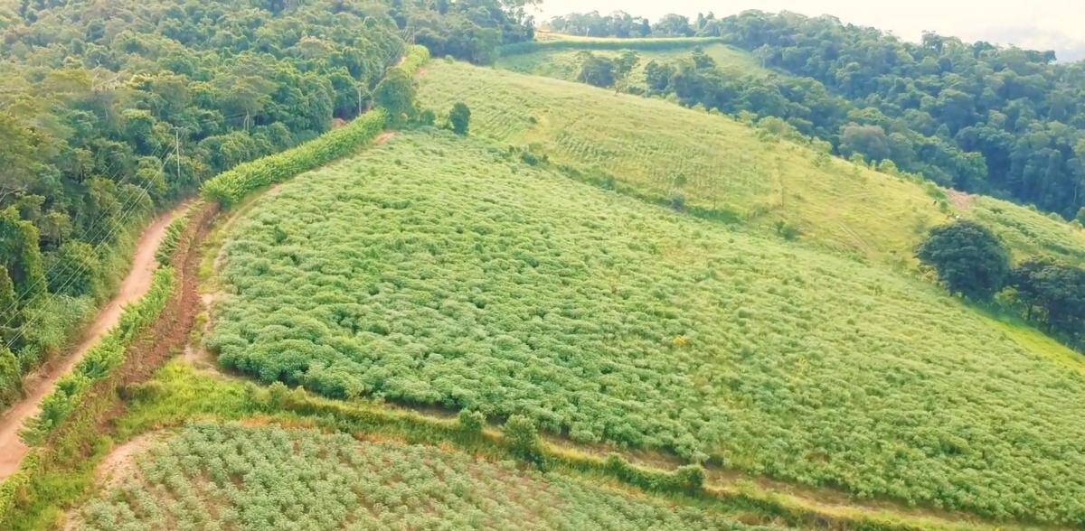 Terreno, 2 hectares - Foto 1