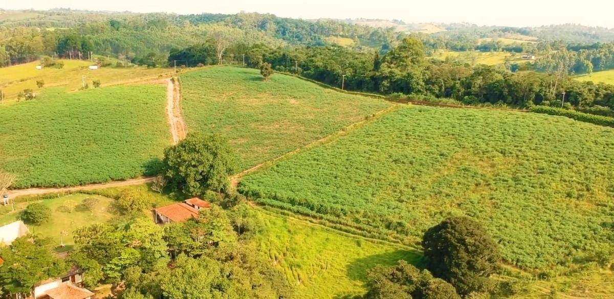 Terreno, 2 hectares - Foto 10