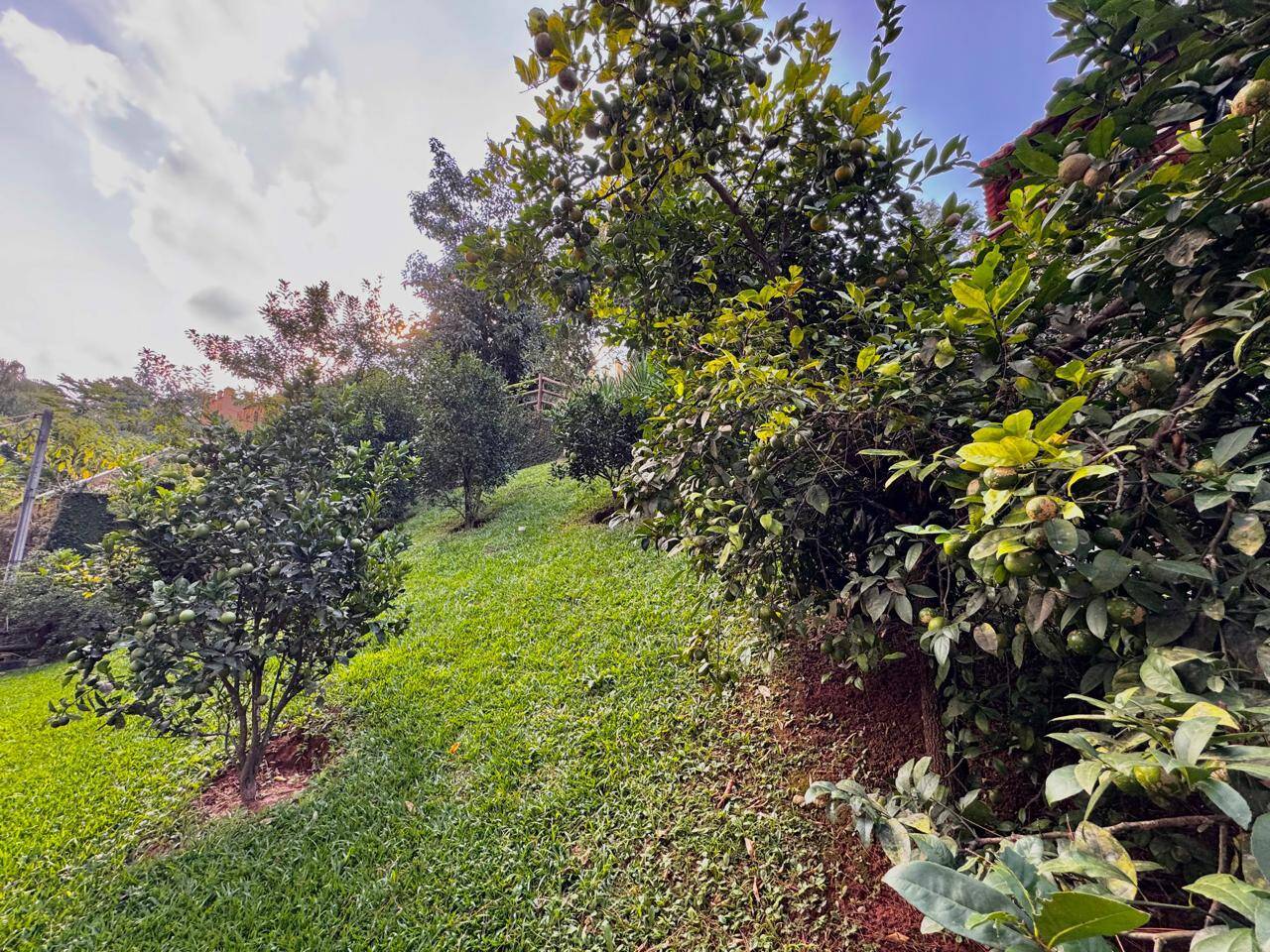 Chácara à venda com 2 quartos, 120m² - Foto 30
