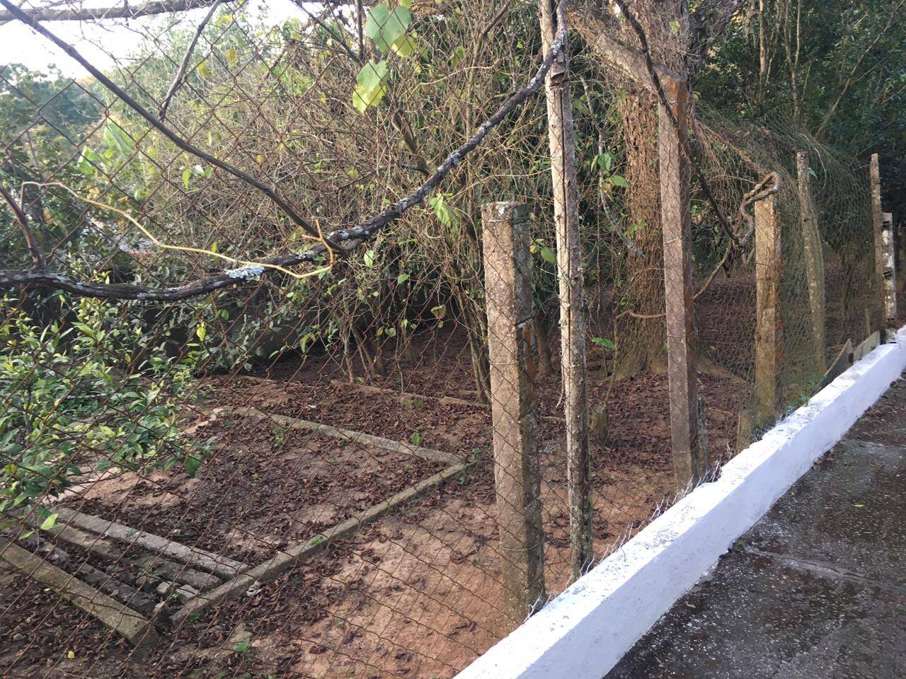 Chácara à venda com 3 quartos, 500m² - Foto 5