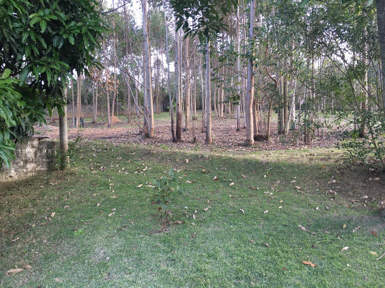 Chácara à venda com 3 quartos, 500m² - Foto 8