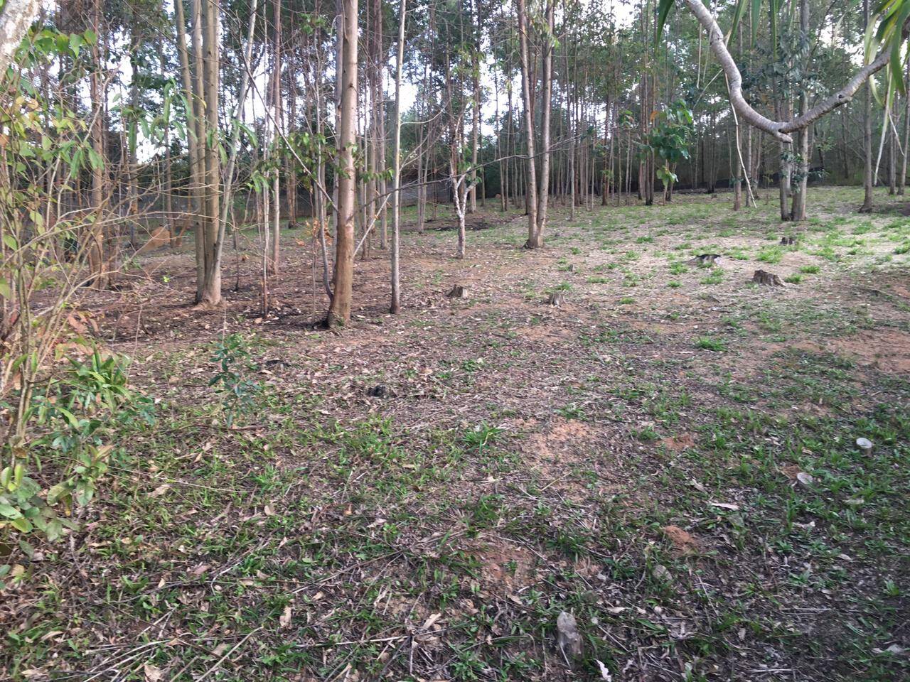 Chácara à venda com 3 quartos, 500m² - Foto 12