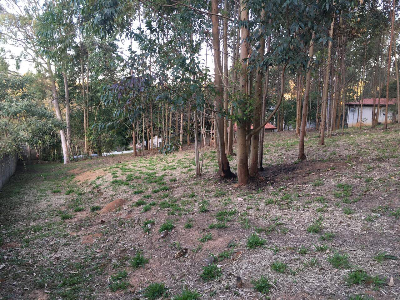 Chácara à venda com 3 quartos, 500m² - Foto 14