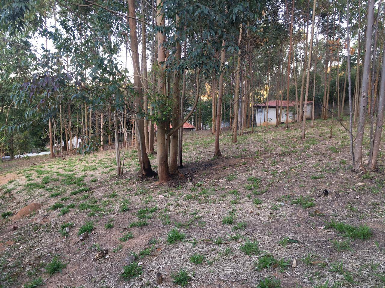 Chácara à venda com 3 quartos, 500m² - Foto 16