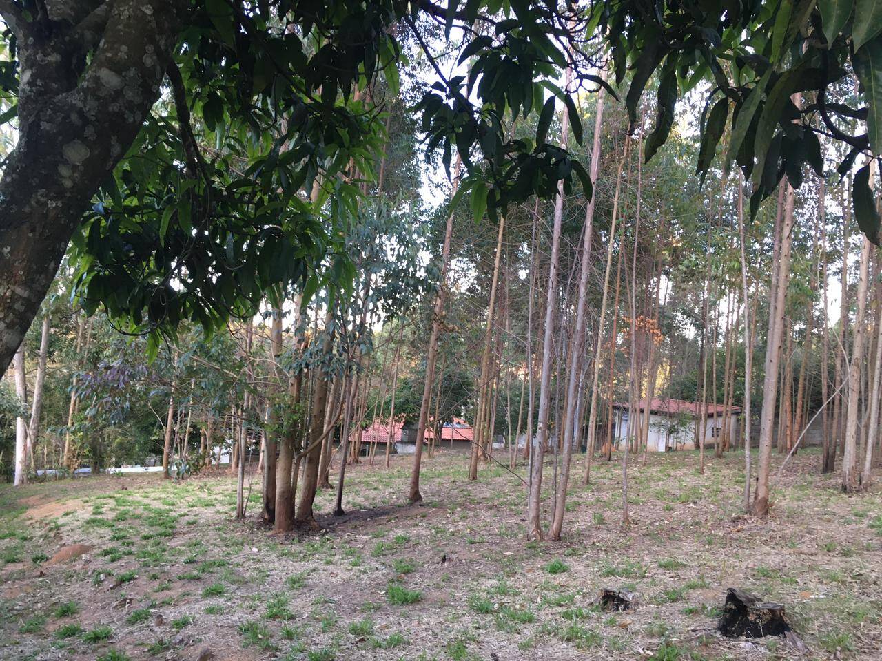 Chácara à venda com 3 quartos, 500m² - Foto 15