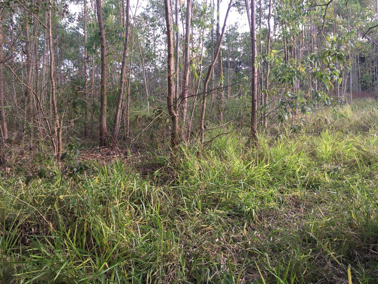 Chácara à venda com 3 quartos, 500m² - Foto 20