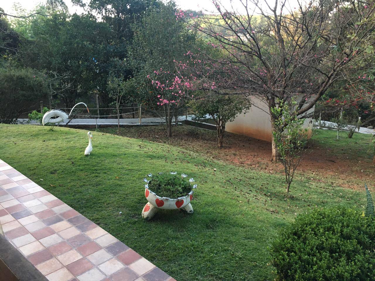 Chácara à venda com 3 quartos, 500m² - Foto 26