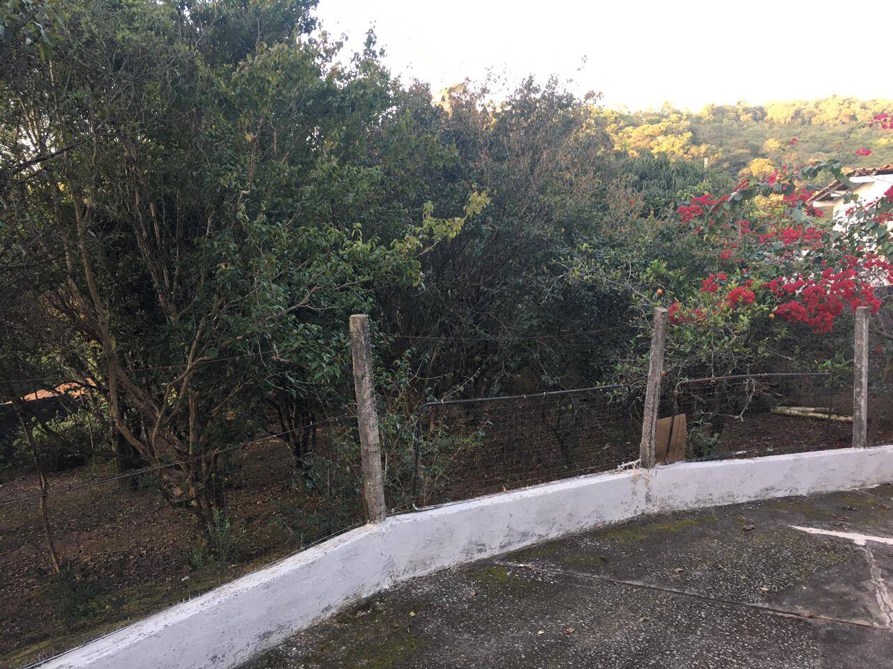 Chácara à venda com 3 quartos, 500m² - Foto 68
