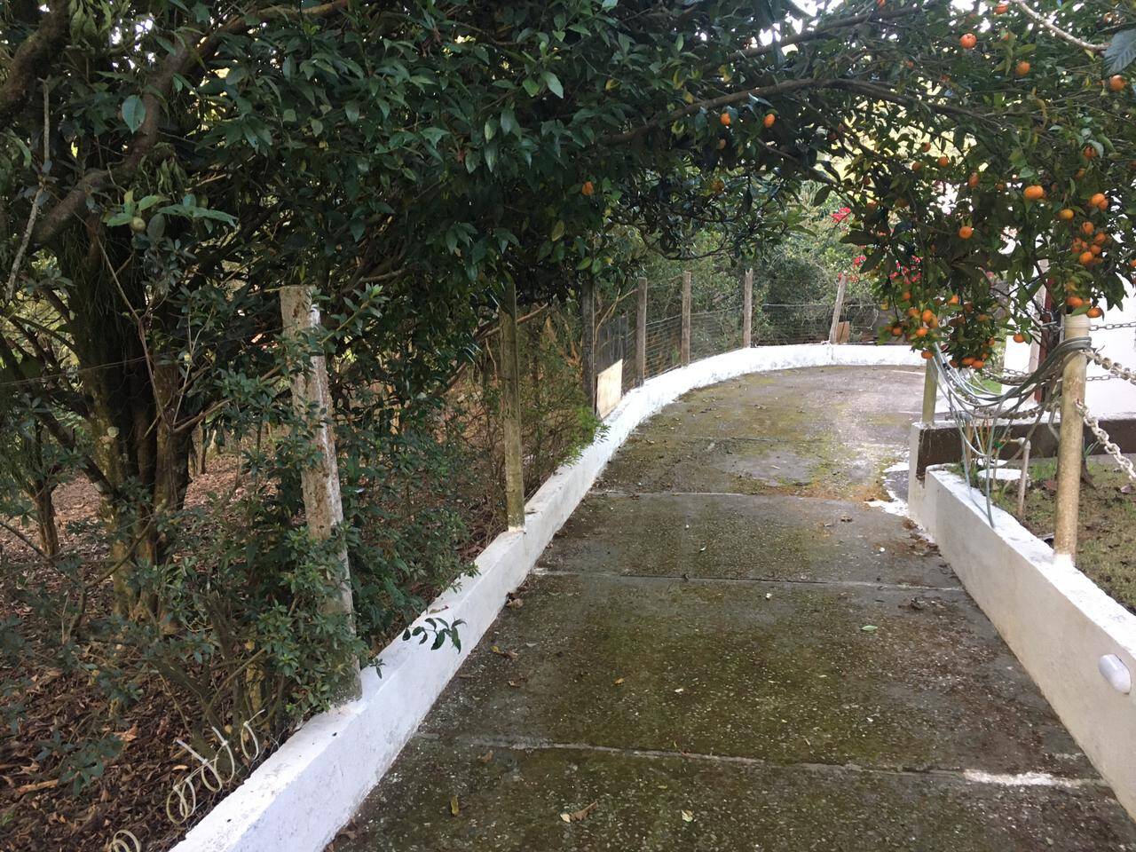 Chácara à venda com 3 quartos, 500m² - Foto 71