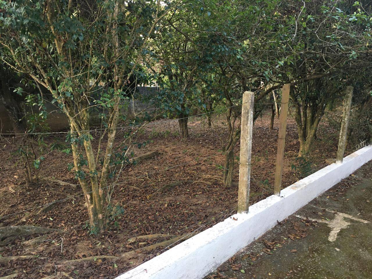 Chácara à venda com 3 quartos, 500m² - Foto 72