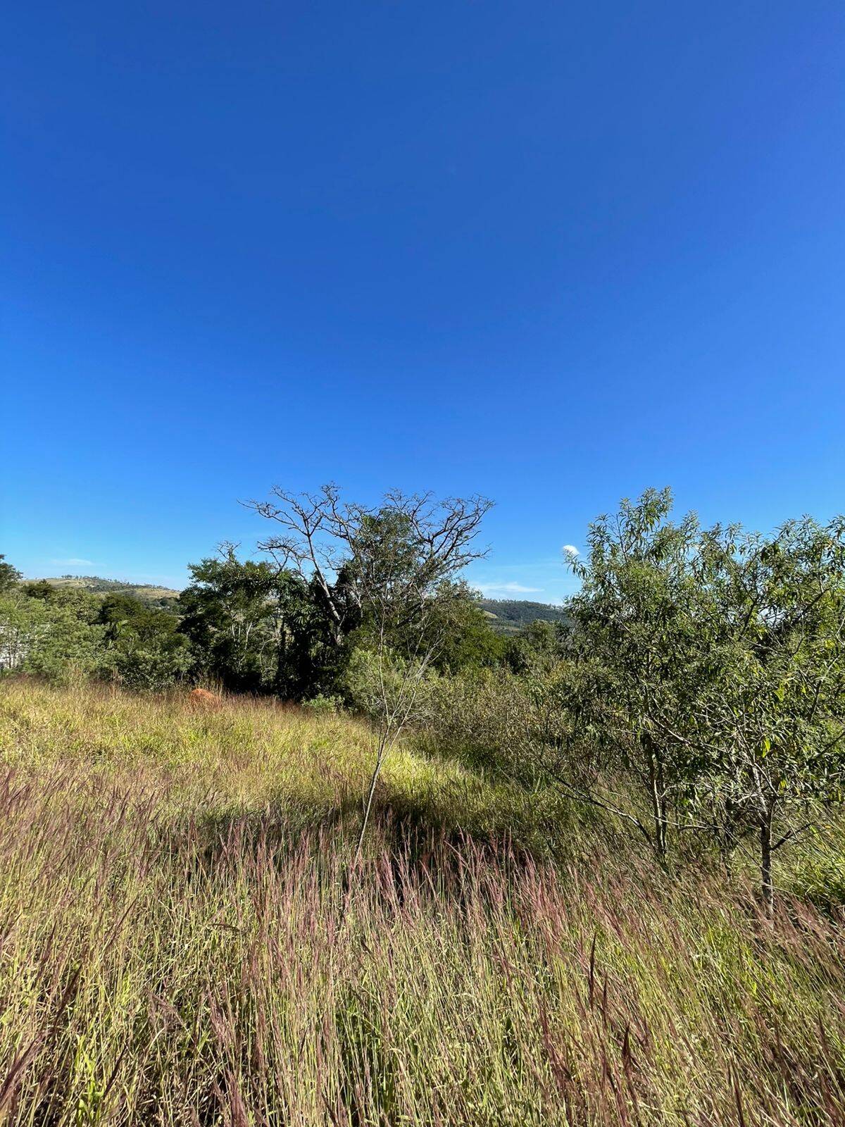 Terreno, 500 m² - Foto 5