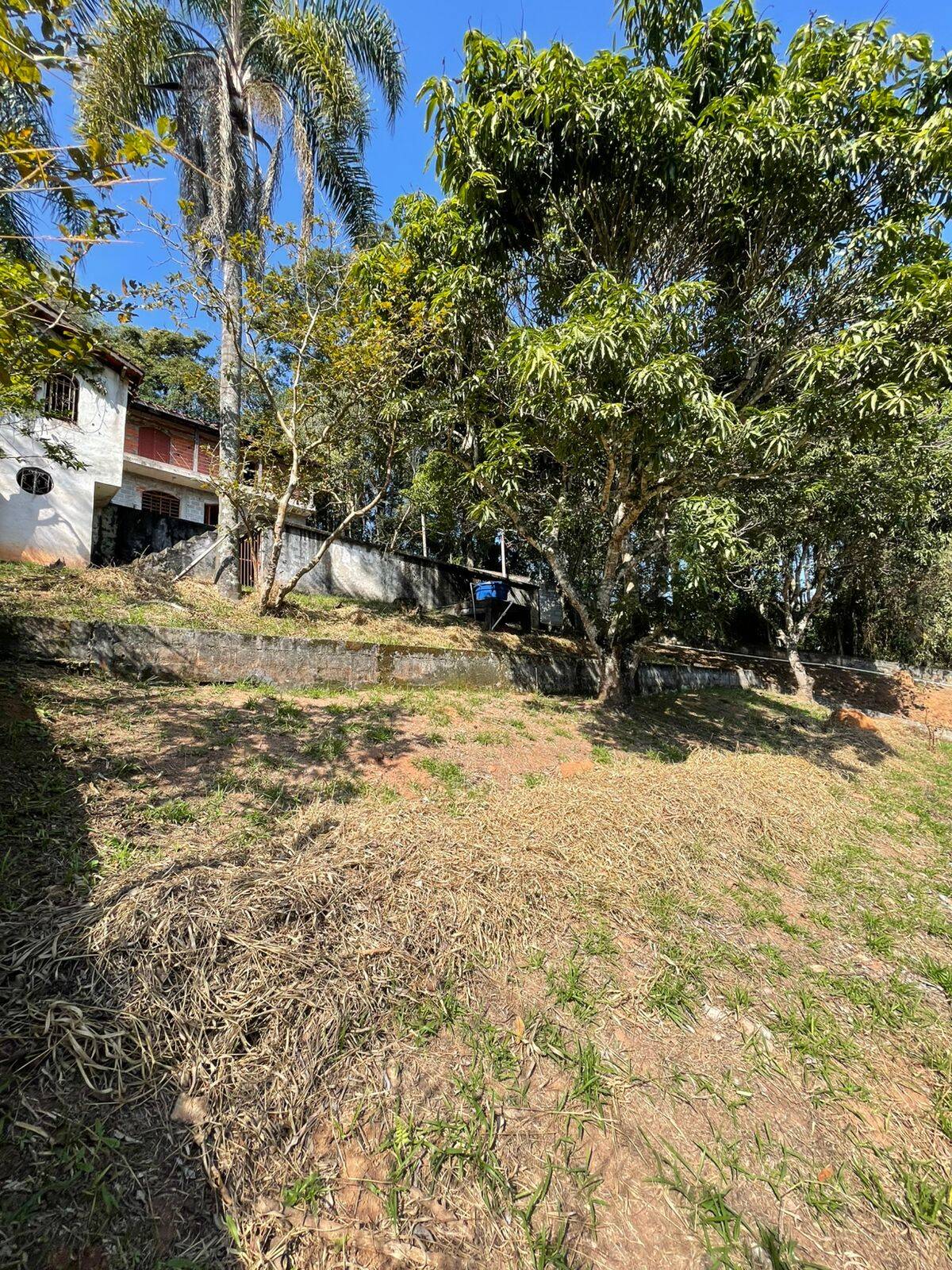Chácara à venda com 5 quartos, 2100m² - Foto 16