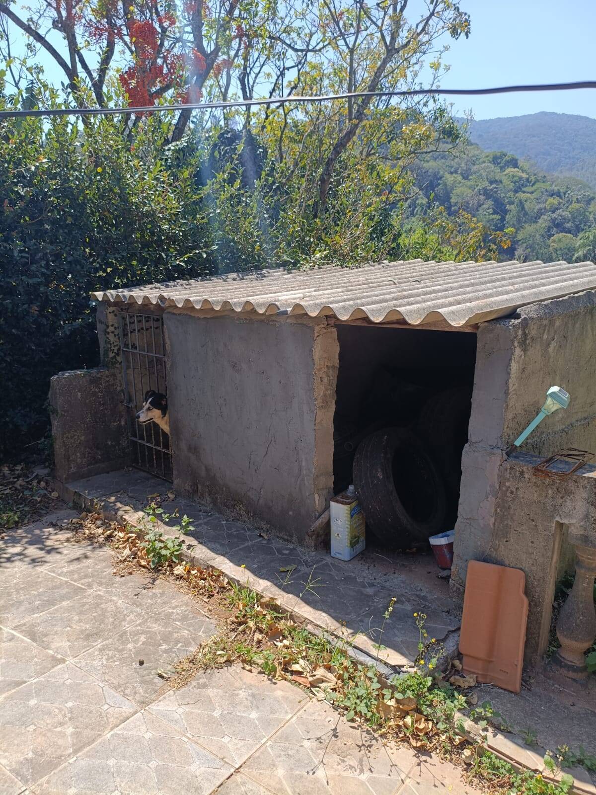 Casa, 3 quartos - Foto 16