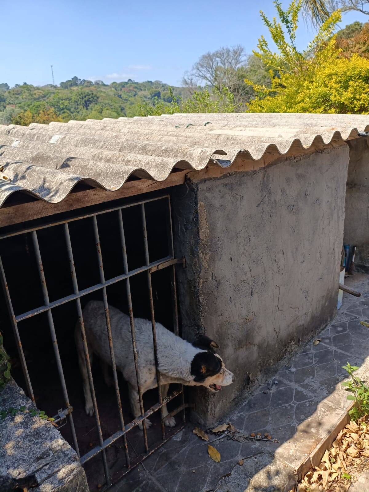 Casa, 3 quartos - Foto 18