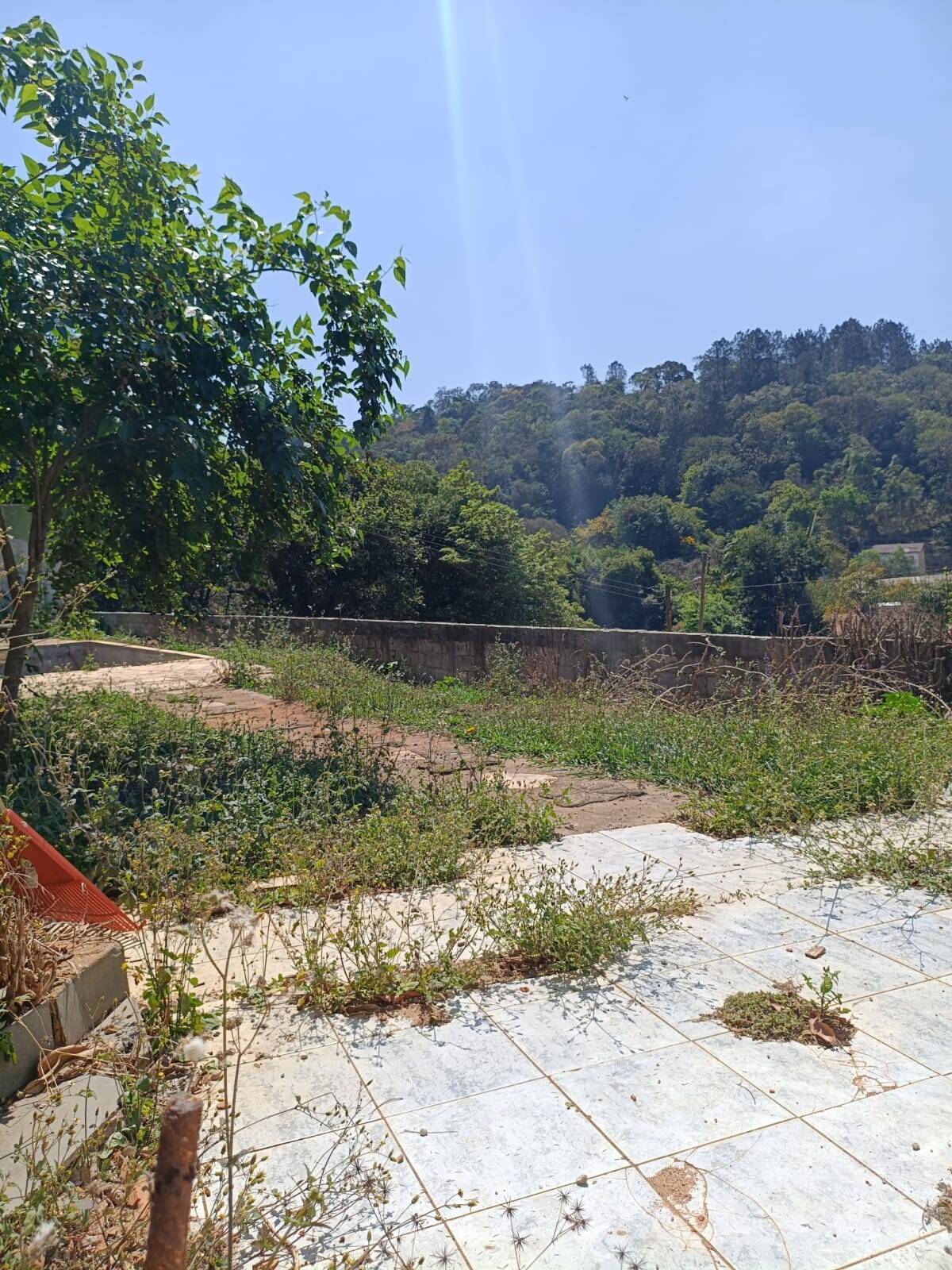 Casa, 3 quartos - Foto 28