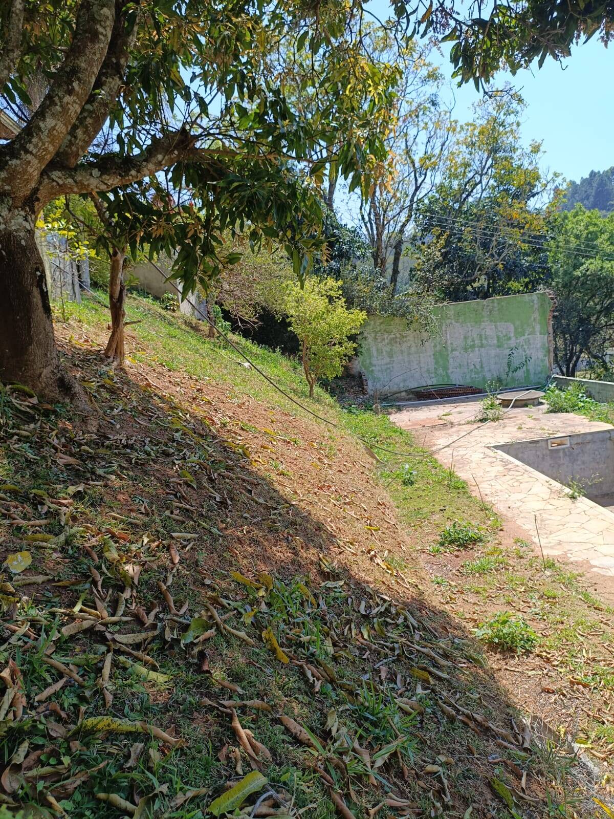 Casa, 3 quartos - Foto 31