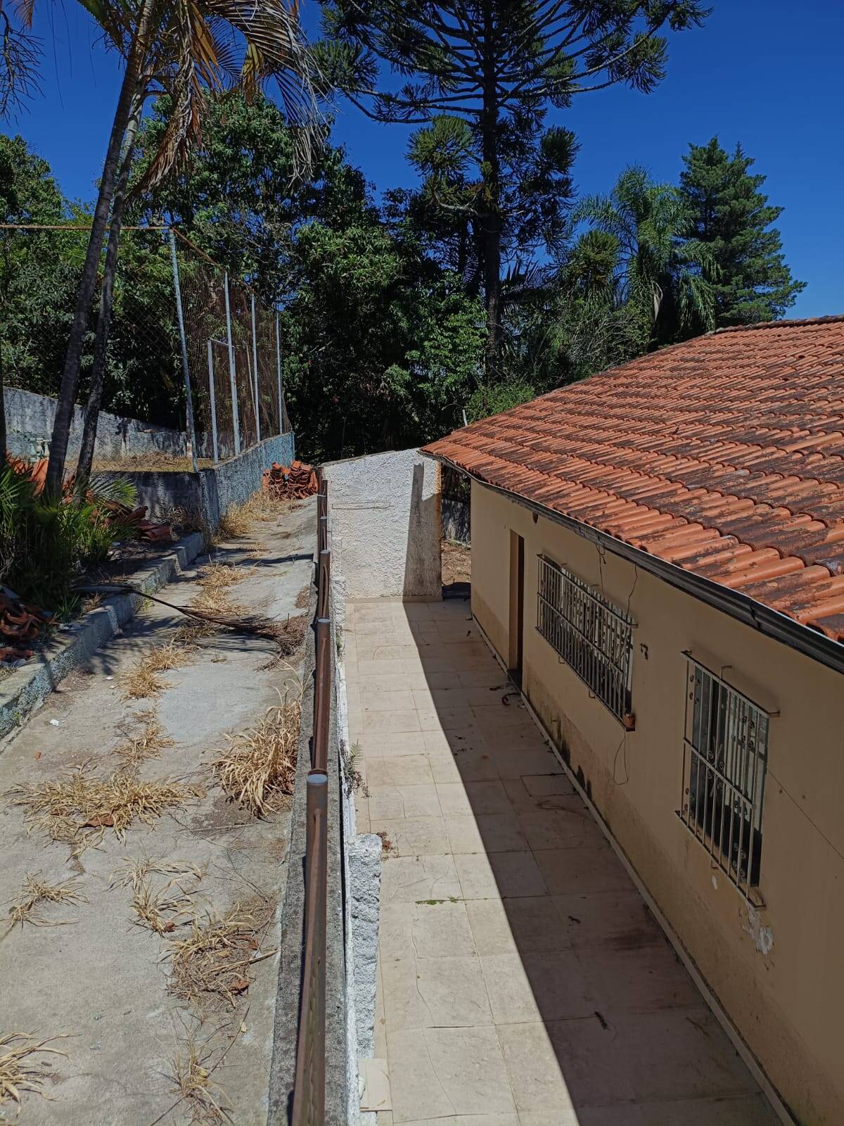 Sítio, 5 quartos, 3000 m² - Foto 35