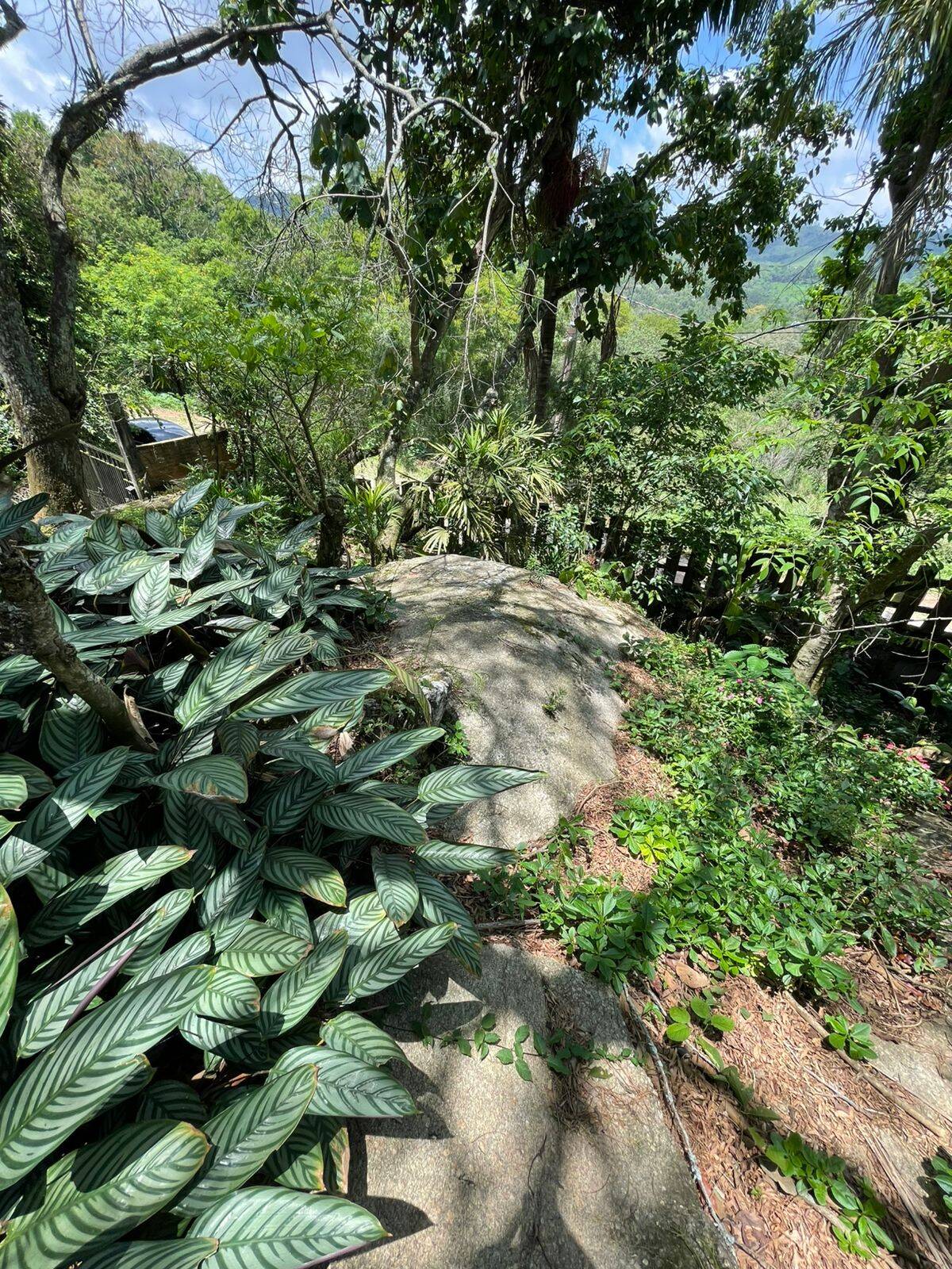 Chácara, 4 quartos, 840 m² - Foto 6