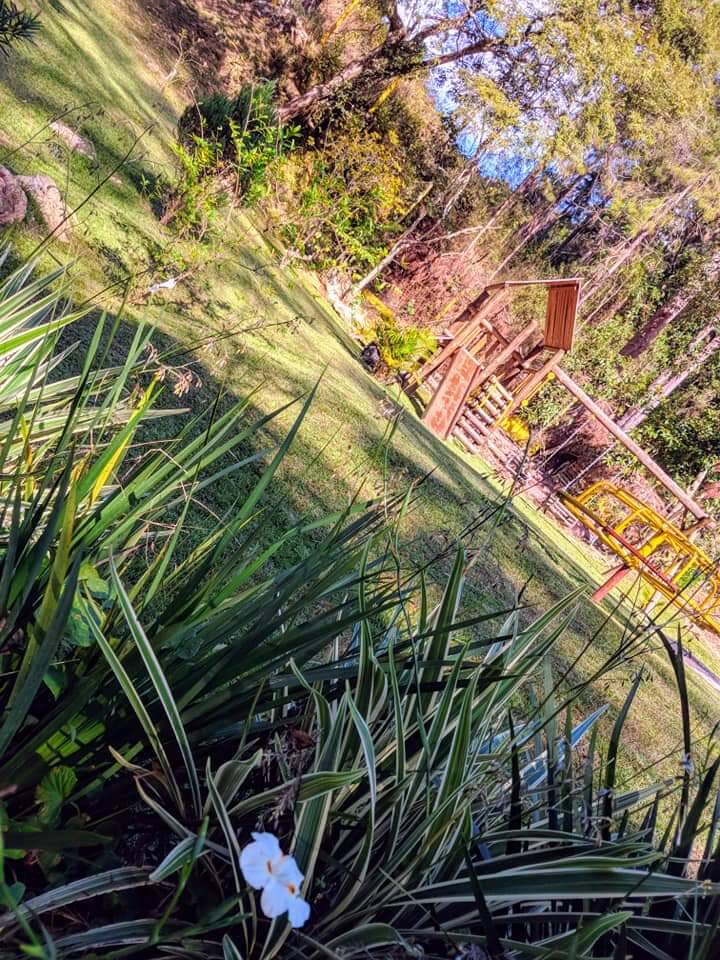 Chácara, 5 quartos, 2800 m² - Foto 2