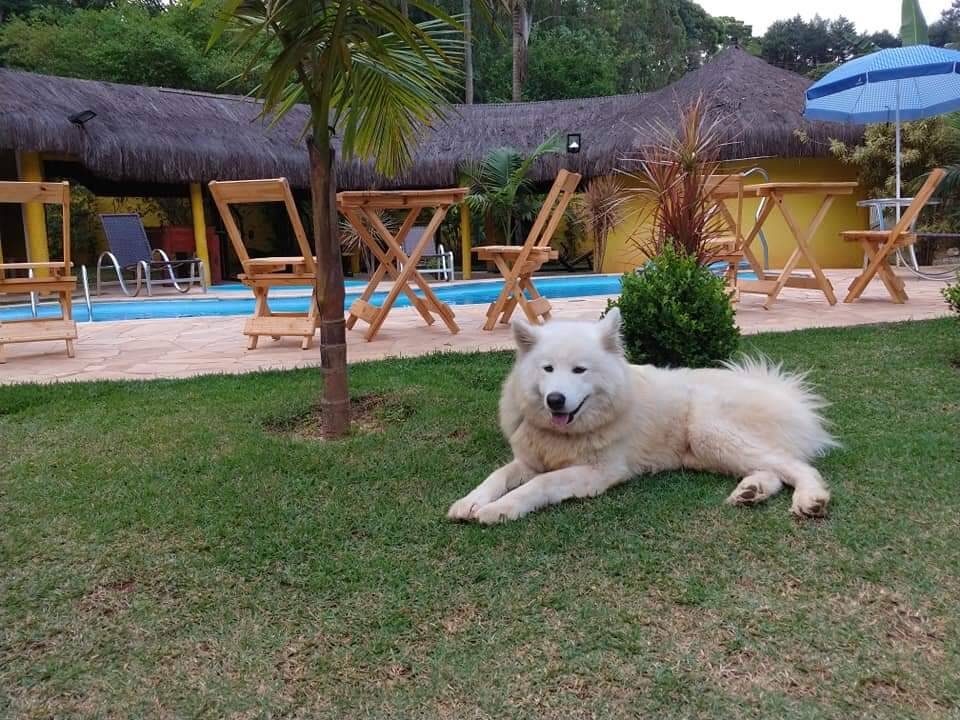 Chácara, 5 quartos, 2800 m² - Foto 13