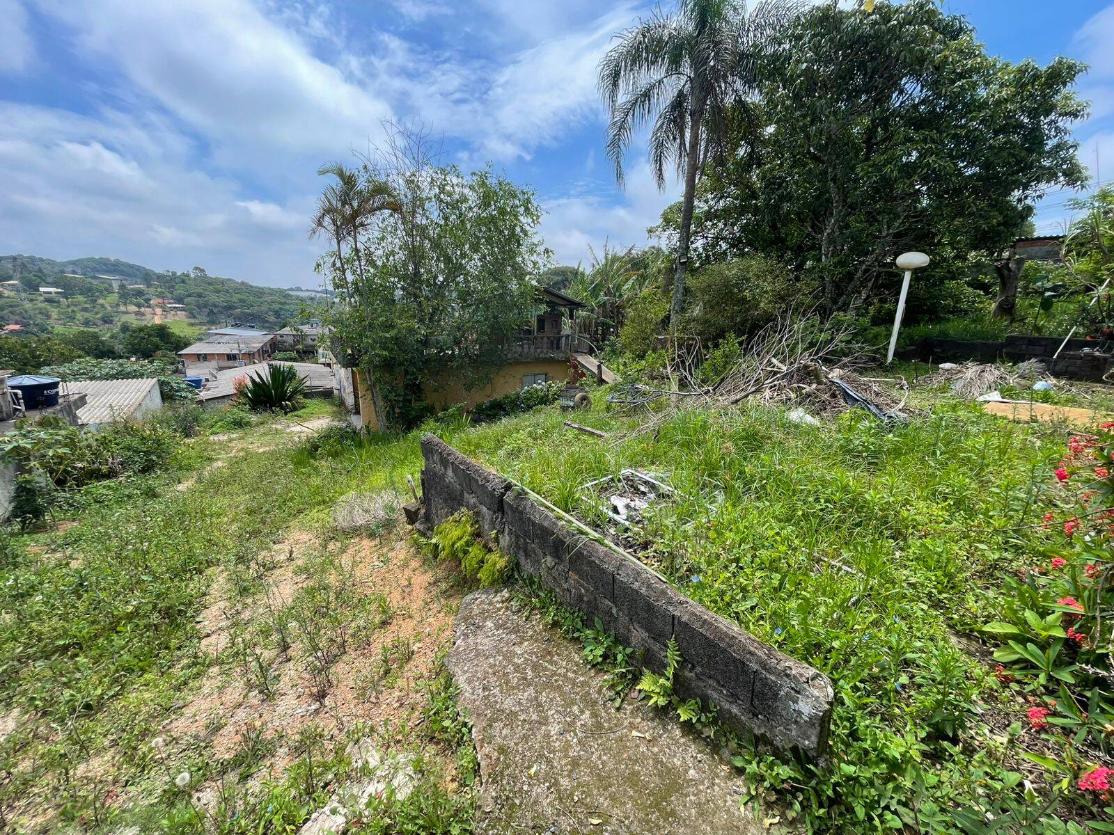 Sítio, 3 quartos, 900 m² - Foto 2