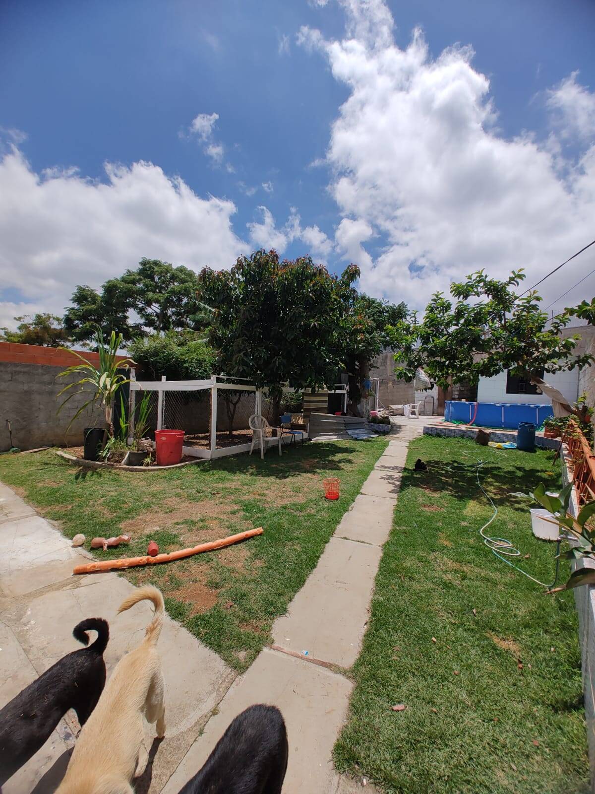 Casa, 2 quartos, 140 m² - Foto 36
