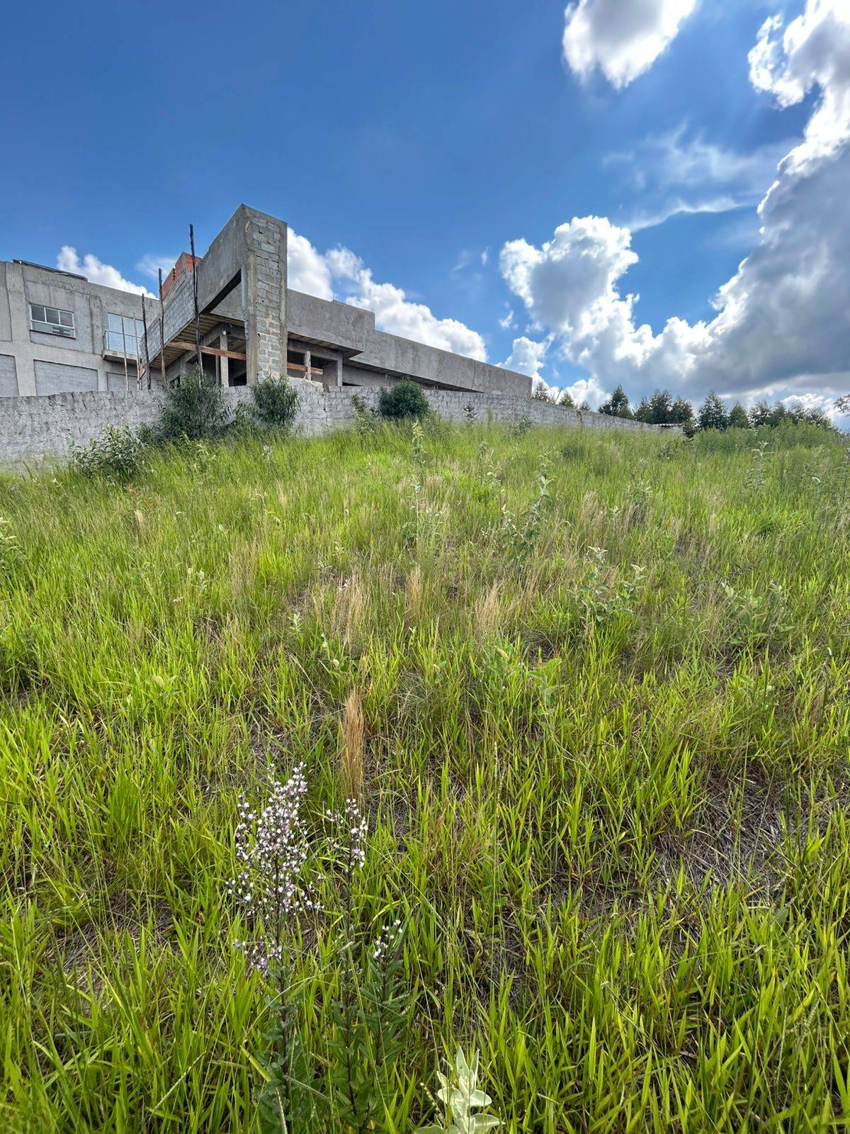 Terreno, 690 m² - Foto 5