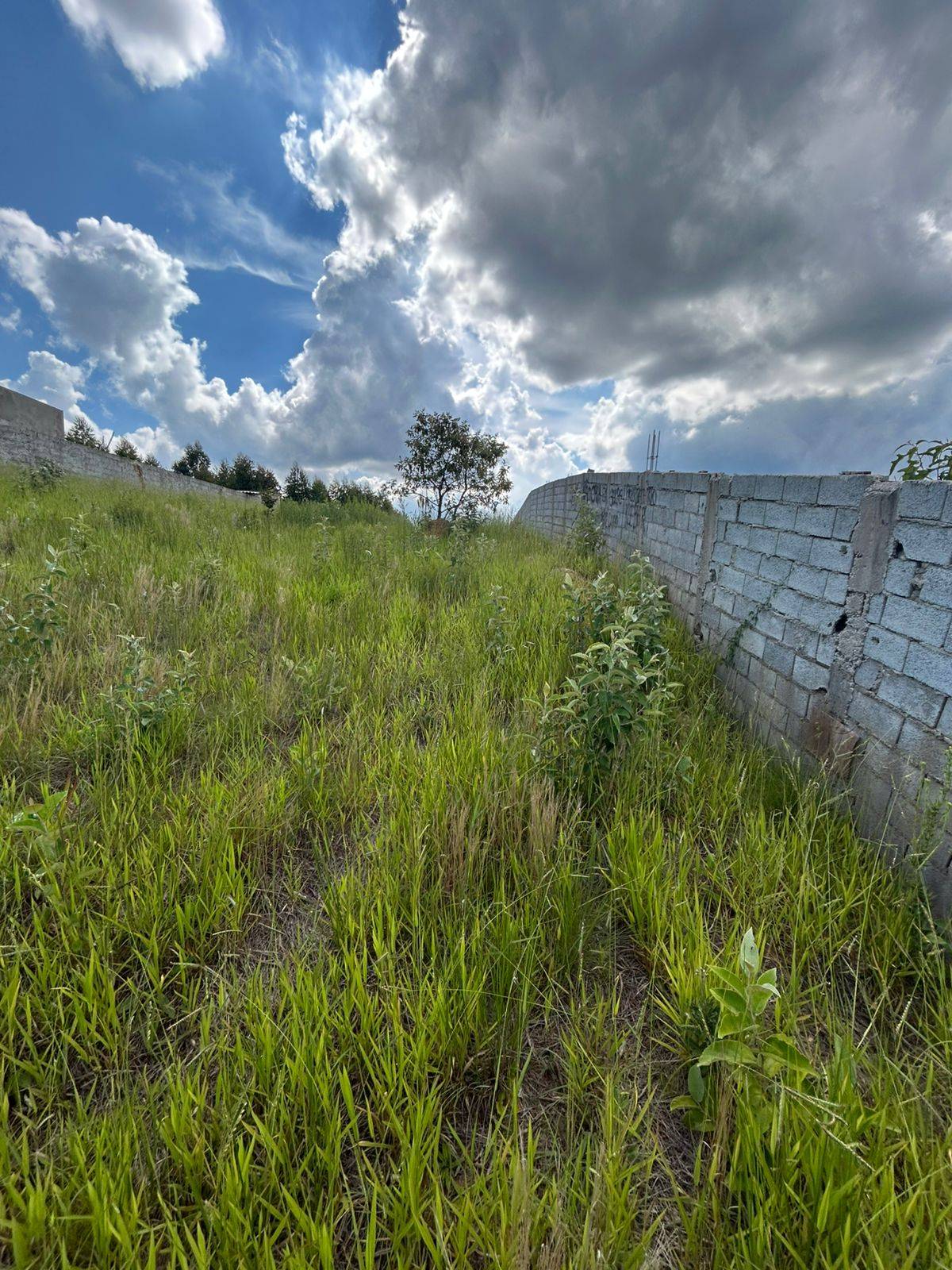 Terreno, 690 m² - Foto 10