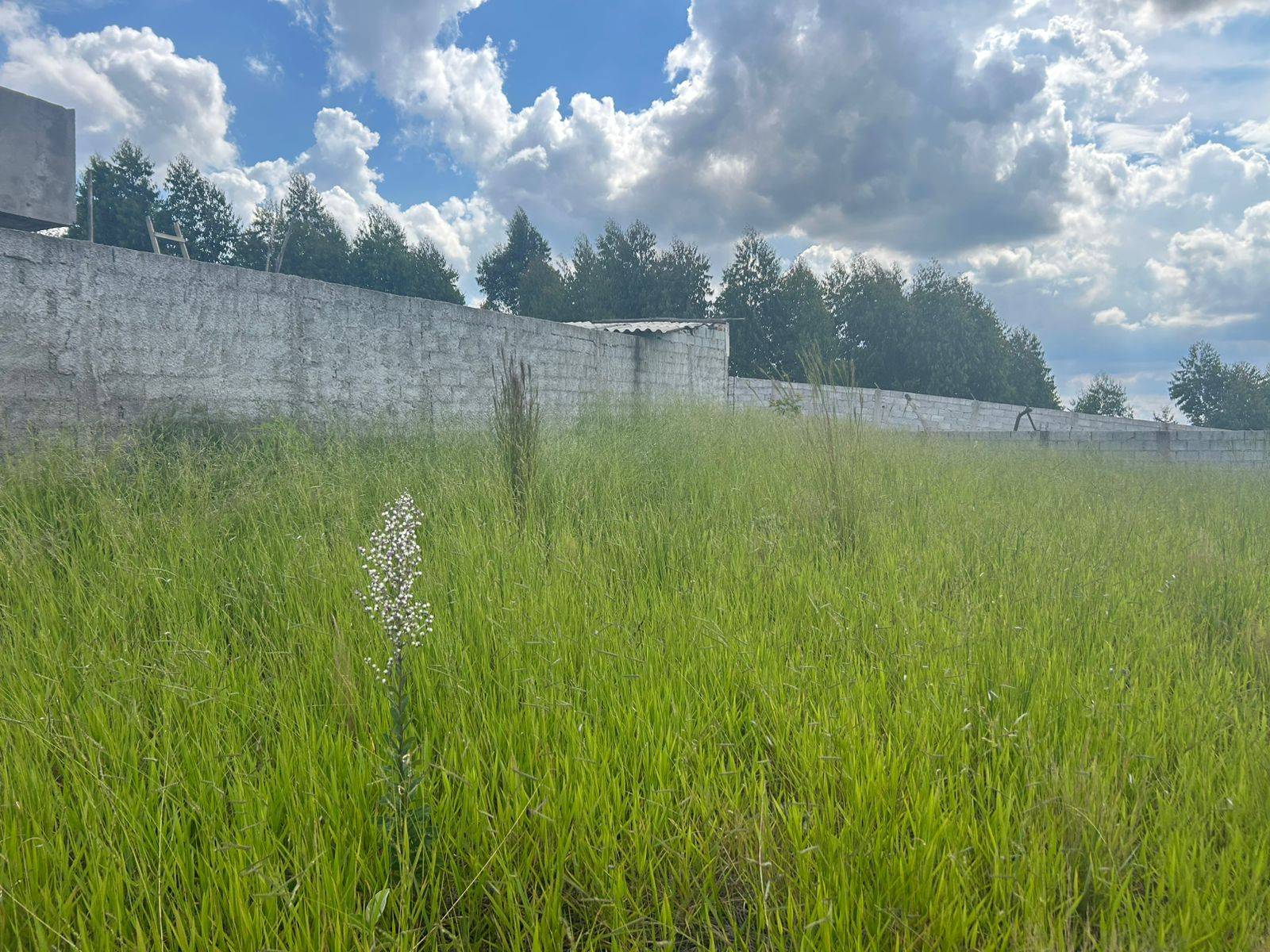Terreno, 690 m² - Foto 15