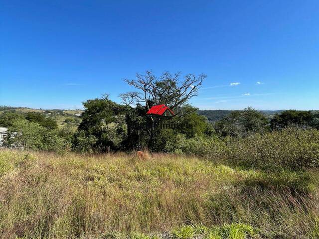 #321 - Área para Venda em Mairiporã - SP - 1